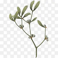 水彩画 颜料 湿墨-空若网 水彩画 颜料 湿墨-空若网