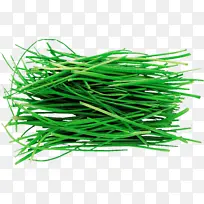 �� ֲ�� �²�-������