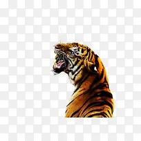 粉色 心 爱-空若网 粉色 心 爱-空若网