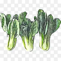蔬菜 植物 叶菜-空若网 蔬菜 植物 叶菜-空若网