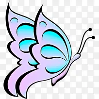 蝴蝶 翅膀 飞蛾和蝴蝶-空若网 蝴蝶 翅膀 飞蛾和蝴蝶-空若网