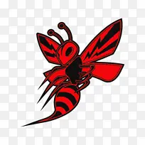 昆虫 膜状昆虫 害虫-空若网 昆虫 膜状昆虫 害虫-空若网