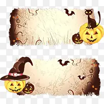 南瓜 植物 水果-空若网 南瓜 植物 水果-空若网