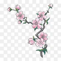 花 植物 粉色-空若网 花 植物 粉色-空若网