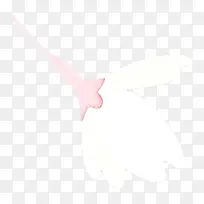 白色 粉色 翅膀-空若网 白色 粉色 翅膀-空若网