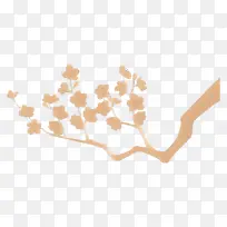 ��ɫ �� ����-������