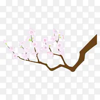 枝 花 植物-空若网 枝 花 植物-空若网