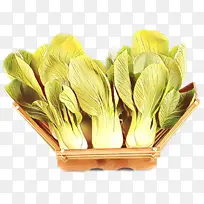 花卉 植物 大白菜-空若网 花卉 植物 大白菜-空若网