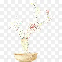 树 树枝 花-空若网 树 树枝 花-空若网