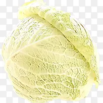 卷心菜 蔬菜 野生卷心菜-空若网 卷心菜 蔬菜 野生卷心菜-空若网