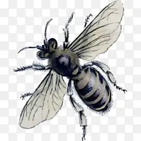 水彩 油漆 湿墨水-空若网 水彩 油漆 湿墨水-空若网