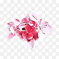 花朵 粉色 花瓣-空若网 花朵 粉色 花瓣-空若网