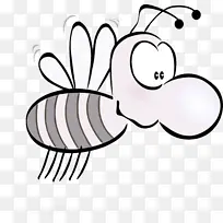 线条艺术 膜纹昆虫 着色书-空若网 线条艺术 膜纹昆虫 着色书-空若网