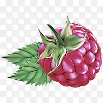 天然食品 粉色 植物-空若网 天然食品 粉色 植物-空若网