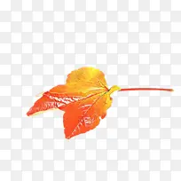 ��ɫ Ҷ�� ��-������