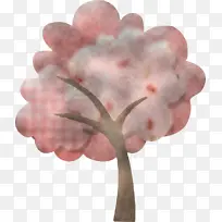 粉色 植物 花朵-空若网 粉色 植物 花朵-空若网