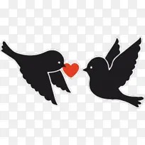 鸟 喙 翅膀-空若网 鸟 喙 翅膀-空若网