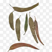 植物 叶子 树-空若网 植物 叶子 树-空若网