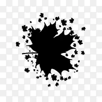 Ò¶×Ó Ê÷ ºÚ°×É«-¿ÕÈôÍø Ò¶×Ó Ê÷ ºÚ°×É«-¿ÕÈôÍø