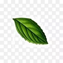 ���ɵ���ͼ����������ɻ�-������