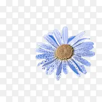 飞蛾和蝴蝶 蝴蝶 昆虫-空若网 飞蛾和蝴蝶 蝴蝶 昆虫-空若网