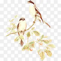 树枝 鸟 植物-空若网 树枝 鸟 植物-空若网