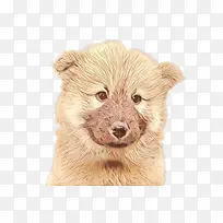 �� ͷ�� ����-������