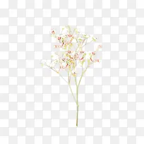 �ɹ���Ʒ�� ֲ�� �л�-������