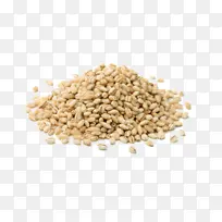 食品 配料 植物-空若网 食品 配料 植物-空若网