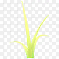 �� ֲ�� �ݿ�-������