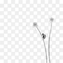 ��ɫ �ѹ�Ӣ ֲ��-������