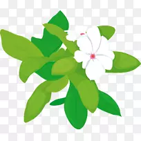 茉莉花公主阿拉伯茉莉花-空若网 茉莉花公主阿拉伯茉莉花-空若网