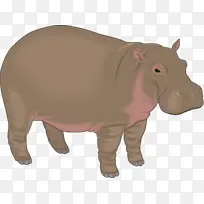 动物形象 粉色 鼻子-空若网 动物形象 粉色 鼻子-空若网