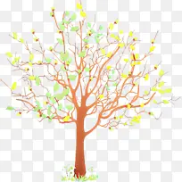 ��ľ ��֦ ֲ��-������