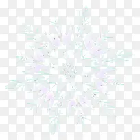 白色 粉色 植物-空若网 白色 粉色 植物-空若网