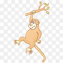 ��ͨ β��-������