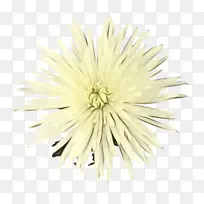 Ë®²Ê» ÑÕÁÏ ÊªÄ«-¿ÕÈôÍø Ë®²Ê» ÑÕÁÏ ÊªÄ«-¿ÕÈôÍø