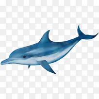 水彩画 油漆 湿墨水-空若网 水彩画 油漆 湿墨水-空若网