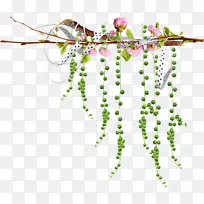 树枝 植物 花-空若网 树枝 植物 花-空若网