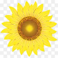 水彩画 颜料 湿墨-空若网 水彩画 颜料 湿墨-空若网