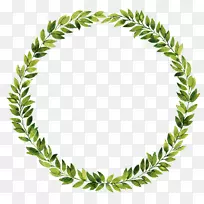 »¨»·Ò¶¿âÉãÓ°Ë®²Ê»»¨È¦-¿ÕÈôÍø »¨»·Ò¶¿âÉãÓ°Ë®²Ê»»¨È¦-¿ÕÈôÍø