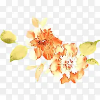 花 花瓣 植物-空若网 花 花瓣 植物-空若网