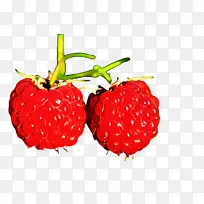 Ƥ�� �� ����-������