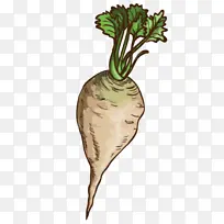 �ܲ� �߲� �����߲�-������