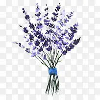 ���� ޹�²� ֲ��-������