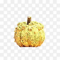 ֲ�� �Ϲ� ˮ��-������