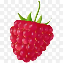 天然食品 浆果 水果-空若网 天然食品 浆果 水果-空若网