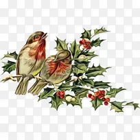 ˮ�ʻ� ���� ʪī-������