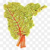 �ɹ���ƷҶ�߲� ��� �߲�-������