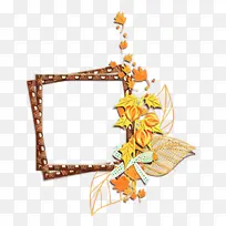 ��ɫ Ҷ�� ֲ��-������